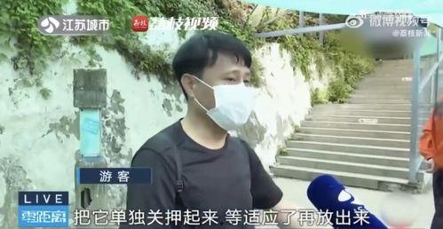 网红霸凌吃瓜男,吃瓜男生无辜卷入网络暴力漩涡